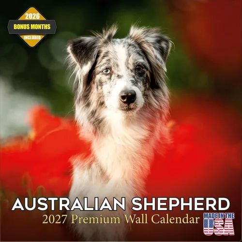 Vista 57 de Calendario de Lebrel Afgano 2025 2026, calendario mensual de pared de raza canina, 12" x 18" abierto, papel grueso sin traspaso, ideal para regalo
