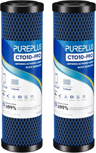 Vista 10 de PUREPLUS Filtro de agua de carbono CTO para toda la casa de 1 micrón, 2.5