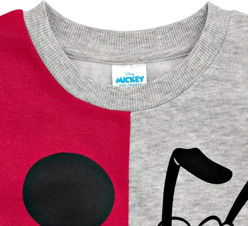 Vista 5 de Disney Lion King Mickey Mouse Pixar Cars Lightning McQueen Simba Pluto Sweatshirt Toddler to Big Kid