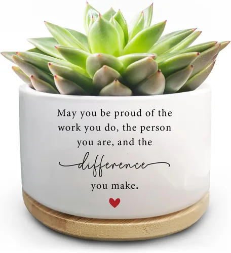 Vista 11 de Maceta Divertida para Plantas Suculentas, Maceta Pequeña para Plantas de Interior, Lindas Macetas de Cerámica para Cactus con Drenaje, Decoración