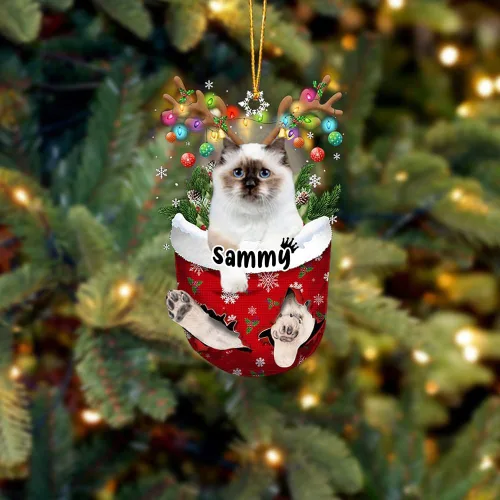 Vista 17 de Adorno personalizado de gato de rizo americano, adorno personalizado con nombre de mascota, colgante acrílico plano impreso en 2D, Papá Noel y gato