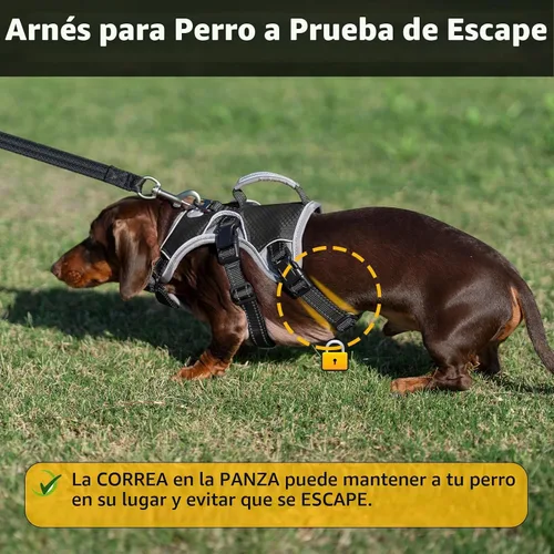 Vista 2 de Huntboo - Arnés para perro a prueba de escape, arnés reflectante con asa, duradero, chaleco ajustable para perros pequeños, medianos y grandes