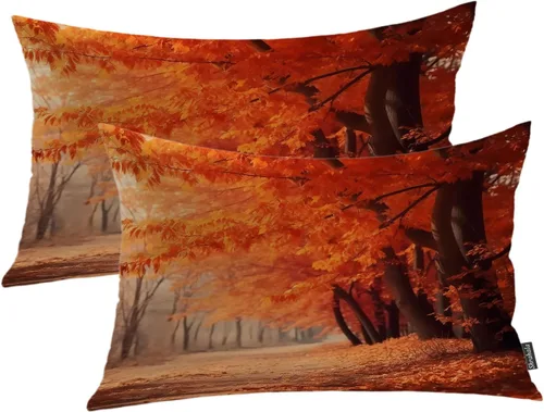 Vista 73 de Shrahala Abstract Art Modern Aesthetic Decorative Pillow Covers, Fluid Forms Minimalist Throw Pillow Cover Blended Hidden Zipper Cushion Cases for