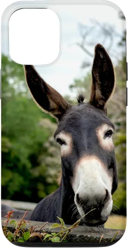 Vista 28 de Funda Donkey para iPhone 17