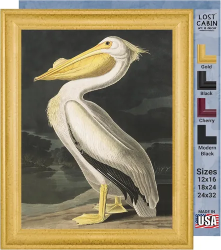 Vista 23 de Lost Cabin American Flamingo por James Audubon Impresión en marco biselado negro Reproducción de pintura de obras de arte finas Póster