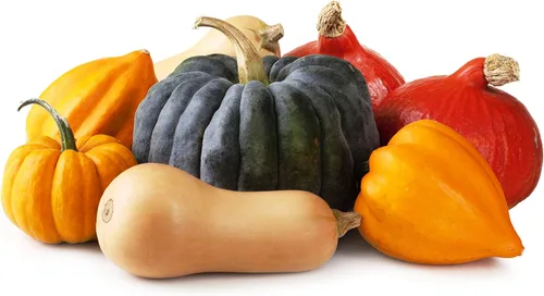 Vista 3 de Mezcla de calabaza comestible colorida, 7 variedades dulces, más de 20 semillas, planta anual sin OMG
