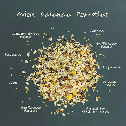 Vista 3 de Volkman Avian Science Diet Parrotlet Comida para pájaros 4 libras