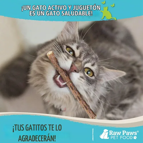 Vista 5 de Raw Paws Silvervine Sticks para gatos (paquete de 30) – Silvervine juguete para gatos de interior – Palitos de hierba gatera – Palo masticable