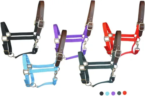Vista 7 de SIE Cabestros de caballo de nylon Breakaway Negro
