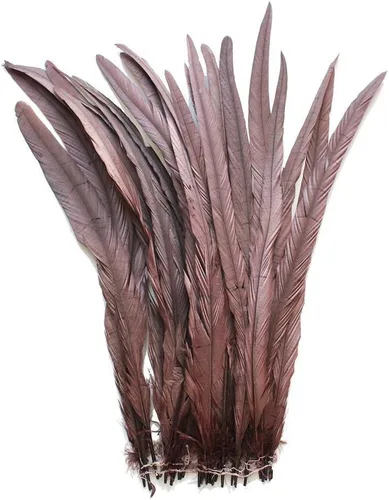 Vista 13 de Nature Rooster Coque Tails Feathers - Decoración de manualidades para disfraz de 12-14 pulgadas, paquete de 25 (color negro)