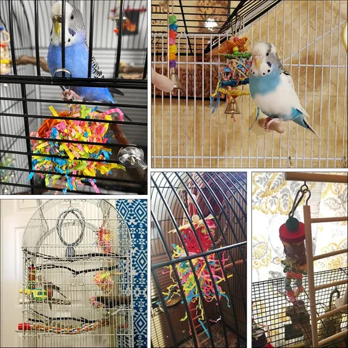 Vista 8 de YUEPET Paquete de 4 juguetes trituradores de pájaros, juguete de búsqueda