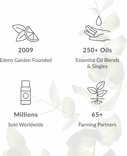 Vista 6 de Edens Garden Mezcla de aceite esencial roll-on para dolores y dolores, 100% puro, grado premium, natural, terapéutico, aromaterapia, seguro