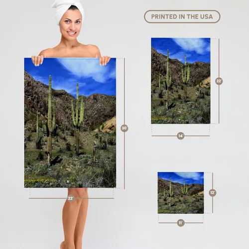 Vista 6 de 3dRose USA, Arizona, AJO, Saguaro Cacti - US03 PHA0020 - Peter Hawkins 15x22 Hand Towel