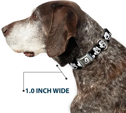 Vista 6 de Buckle-Down Collar de perro con hebilla de cinturón de seguridad, dálmatas para correr, patas, negro, gris, blanco, negro, 1.5 pulgadas de ancho, se