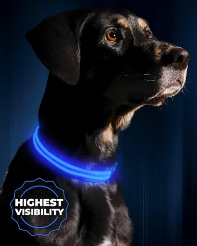 Vista 10 de Collar para perros LED Illumiseen, recargable por USB, Anaranjado encendido