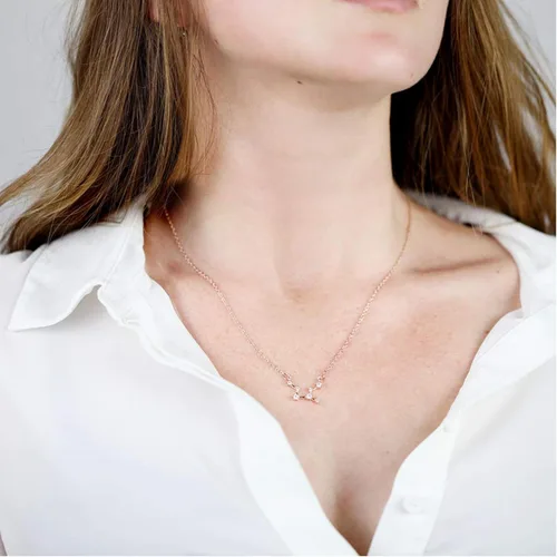 Vista 5 de 2 collares del zodiaco para mujer, collar de 12 constelaciones, signo del zodiaco, horóscopo, joyería del zodiaco, regalo