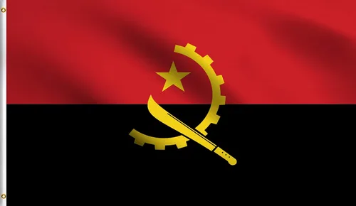 Vista 65 de DMSE - Bandera nacional beninesa beninesa de la República de África Occidental, 2 x 3 pies, 100 % poliéster, 100 % poliéster, resistente a los rayos