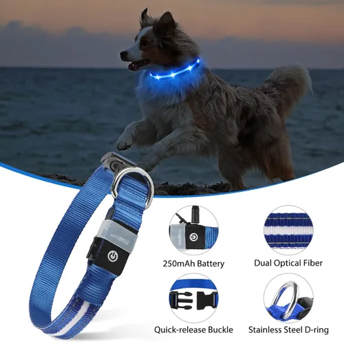 Vista 3 de MASBRILL Collar de perro con luz LED - Recargable, resistente al agua, intermitente, collar brillante para caminar por la noche