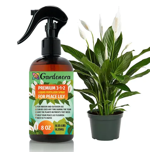 Vista 12 de Gardenera Fertilizante en aerosol multiusos profesional para jardinería doméstica, listo para usar, 3-1-2, alimento suave para plantas para hojas