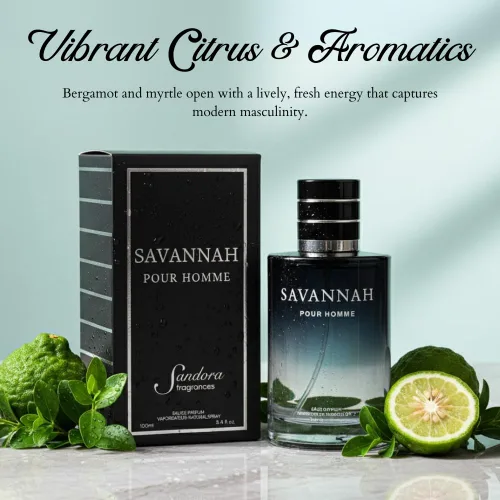 Vista 4 de Sandora Fragrances Colonia para hombre – Inspirada en un perfume para hombre reconocido mundialmente – bergamota de Calabria, pimienta, lavanda