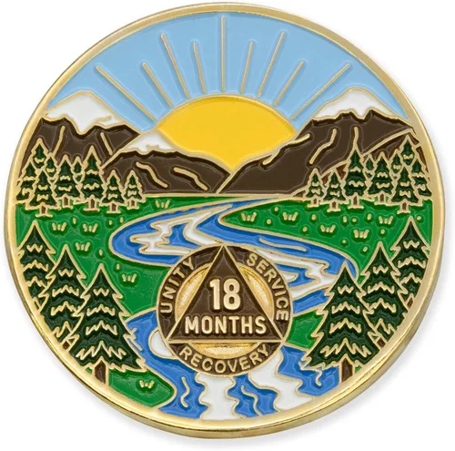Vista 86 de Moneda AA de 1 año – Medallón de recuperación de ondas estrelladas de Sobriety Mint – azul/blanco/dorado