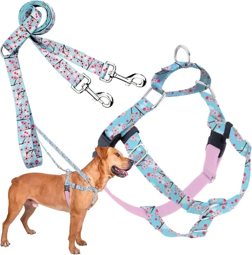 Vista 24 de 2 Hounds Design Freedom - Arnés para perro sin tirones, arnés ajustable y correa, fácil de caminar y control cómodo, se adapta a perros pequeños