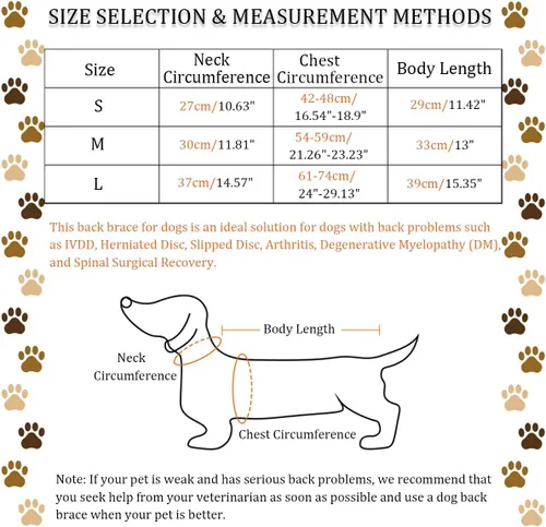 Vista 2 de IVDD - Soporte de espalda para perros, chaleco flexible de apoyo de espalda de perro salchicha para mascotas, soporte de espalda para mascotas