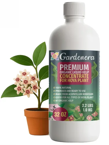 Vista 36 de GARDENERA Superalimento orgánico prémium de algas marinas y algas marinas para plantas AROID - 32 oz - Concentrado de fertilizante líquido de algas