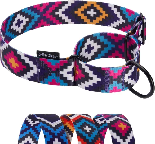 Vista 17 de CollarDirect Martingale - Collar de nailon resistente para perros pequeños, medianos y grandes [nailon, estampado, aguamarina, L, 15-20 pulgadas)