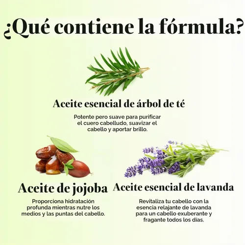 Vista 5 de Acondicionador Maple Holistics de aceite de árbol de té, para el cuidado del color, la resequedad y la caspa, y un tratamiento para el cabello