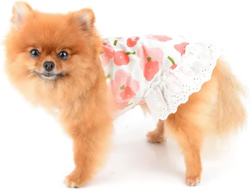Vista 2 de SMALLLEE_LUCKY_STORE Lindo vestido floral de algodón con tirantes para mascotas, vestido de verano para perros pequeños, gatos, niñas, cachorro