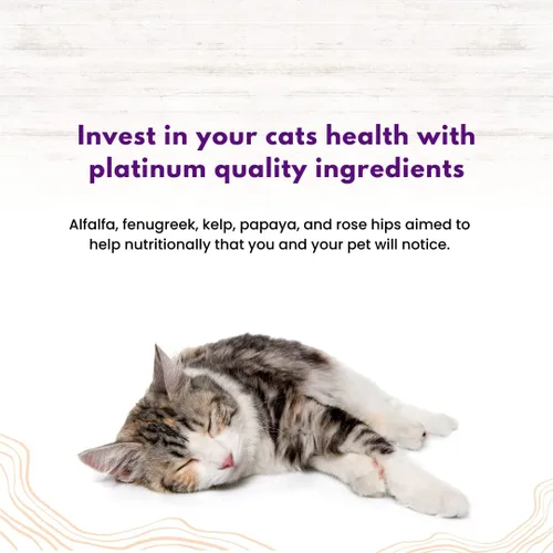 Vista 7 de Comida seca para gatos con caviar felino, libre de espíritu: pollo y salmón, ingrediente holístico limitado, sin granos, alimento seco para gatos