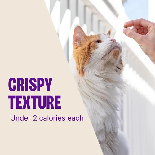 Vista 7 de Wellness Kittles - Snacks crujientes naturales sin granos para gatos, pollo y cranberry, bolsa de 2 onzas