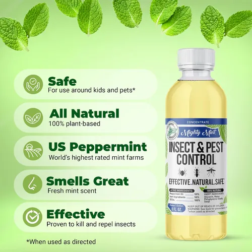 Vista 4 de Mighty Mint Concentrado repelente de insectos de aceite de menta – Control natural de insectos en interiores y exteriores para arañas, hormigas