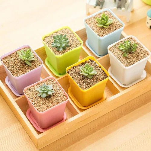Vista 5 de Paquete de 24 macetas de plástico cuadradas de 3 pulgadas de varios colores, contenedor de trasplante de vivero para plántulas, macetas
