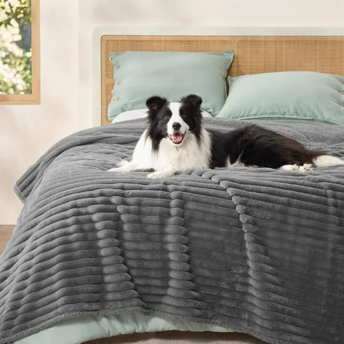 Vista 18 de Bedsure ComfyFleece® - Mantas impermeables para perros pequeños Crema