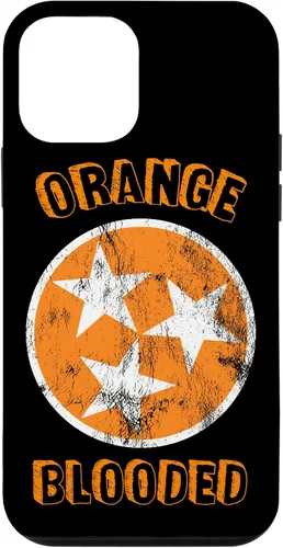 Vista 16 de Tennessee Fan Orange Blooded Vol Sports Fan State Flag TN Case for iPhone 17