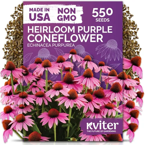 Vista 32 de KVITER 15,000 semillas de rosa musgo mixta para plantar (Portulaca grandiflora) – Cubierta de suelo con floración de reliquia, semilla de Portulaca