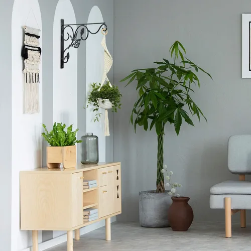 Vista 7 de Vumdua Soporte para plantas colgantes, paquete de 2 ganchos de pared de 12 pulgadas con tornillos de hierro incluidos, colgador decorativo