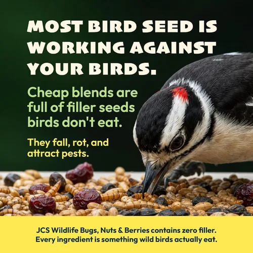 Vista 2 de JCs Wildlife Bugs Nuts and Berries - Cilindro grande de semillas de aves con agujero, cero relleno para comederos exteriores, llaves de pájaros