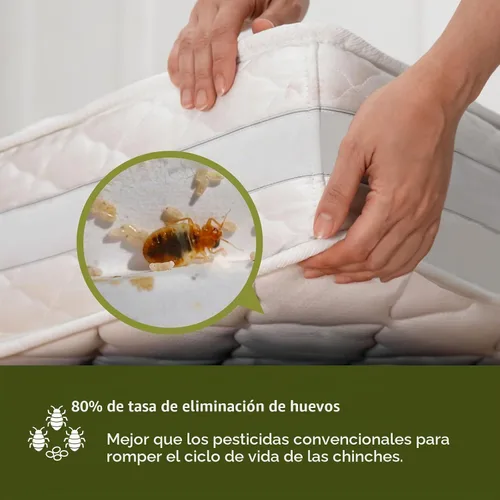 Vista 4 de Eliminador de plagas de cama Ecoraider en aerosol, 16 onzas, verde + no tóxico, mata 100% con protección extendida