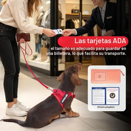 Vista 6 de Arnés de chaleco de servicio para perros de raza pequeña con etiqueta de identificación, 50 tarjetas ADA, 10 parches extraíbles, arnés de apoyo