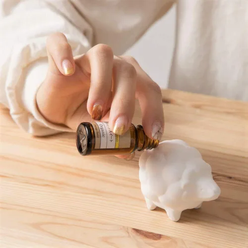 Vista 3 de Difusor de piedra de cerámica aromática [fabricado en Japón] Difusor pasivo de aceites esenciales para aromaterapia, no eléctrico, ecológico, único
