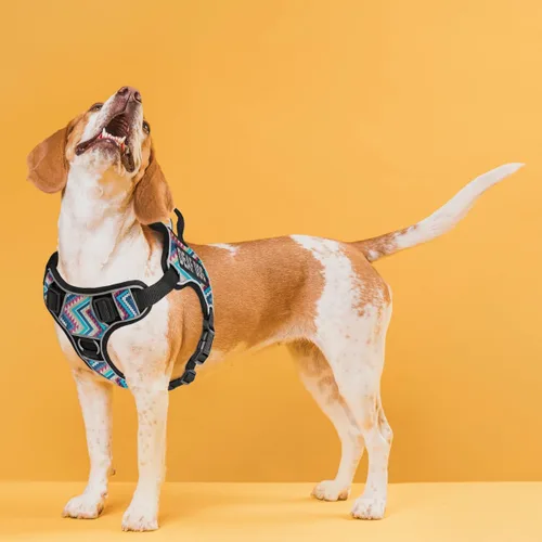 Vista 8 de Dogline Quest - Arnés para perro sordo sin tirones con parches reflectantes extraíbles y reflectantes, suave y cómodo, chaleco para perro con Negro