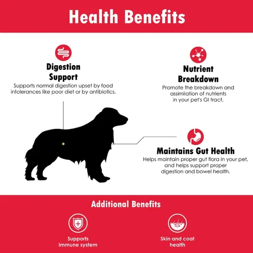 Vista 5 de Probióticos Proflora para perros: salud intestinal completa y apoyo inmunológico. Probióticos digestivos de múltiples cepas fáciles de usar.