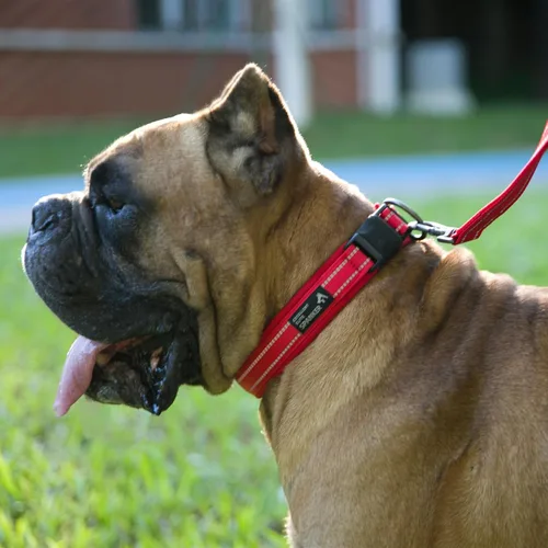 Vista 7 de EXCELLENT ELITE SPANKER Collar reflectante para perro, clásico, suave, acolchado, de nailon transpirable, ajustable, con hebilla de liberación