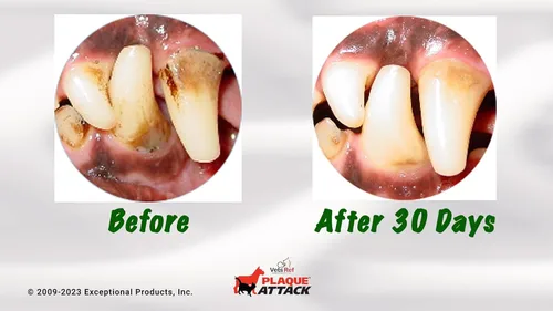 Vista 7 de Spray dental para mascotas