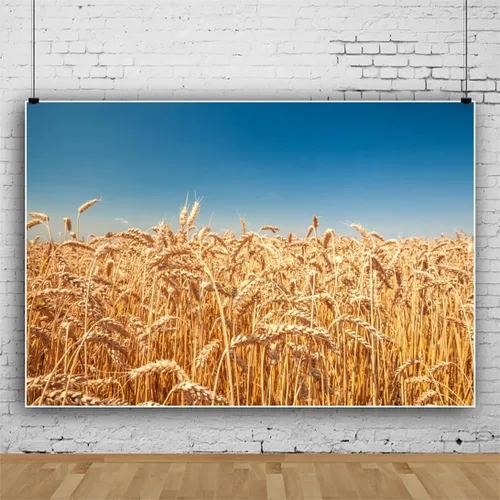 Vista 2 de Telón de fondo de campo de trigo dorado, 5 x 3 pies, rústico, otoño, tierras de cultivo de trigo, cosecha de grano de trigo, desierto, cielo azul