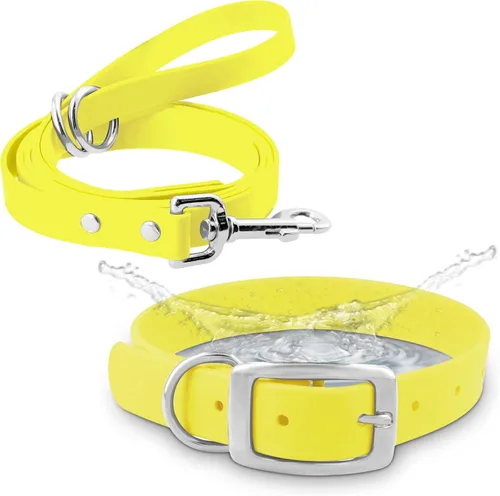 Vista 11 de Regal Dog Products Collar pequeño negro para perros con doble hebilla resistente y anillo en D Collar de perro ajustable de Biothane