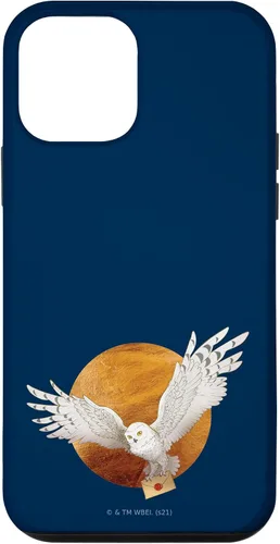 Vista 16 de Harry Potter Hedwig and The Moon Case for iPhone 17